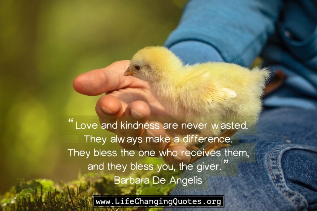 Karma Believer Quotes