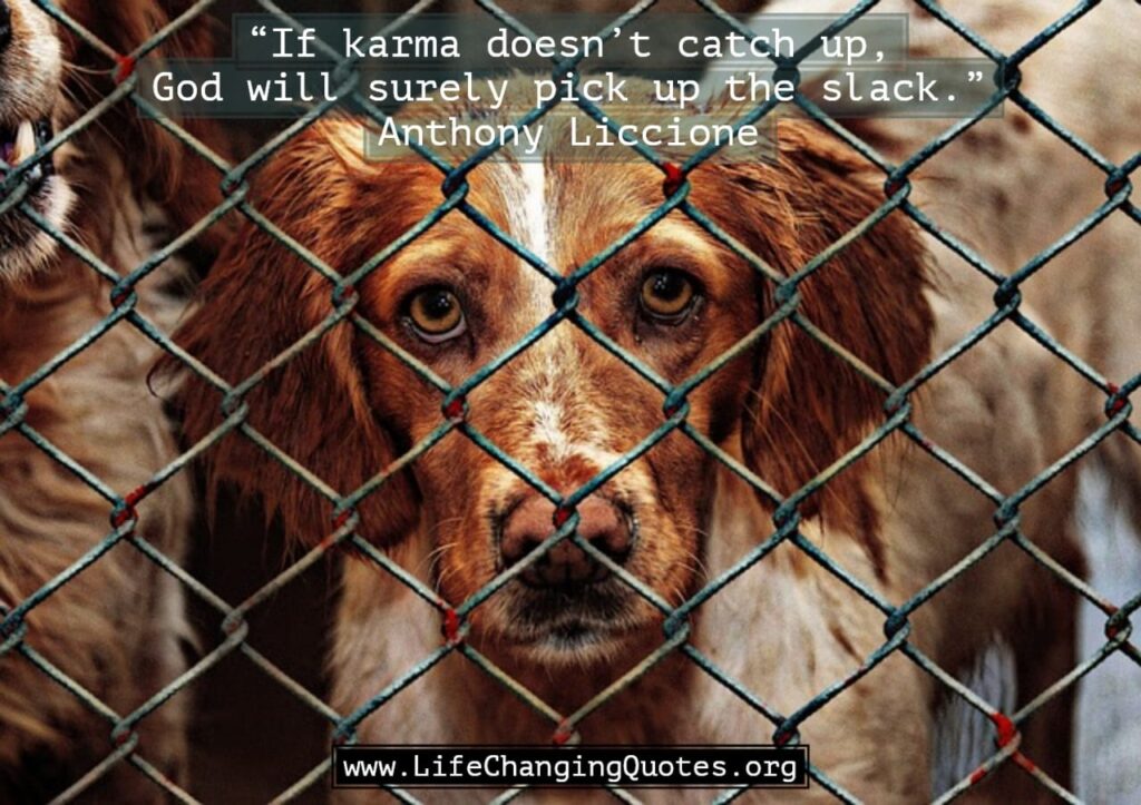 Karma Believer Quotes
